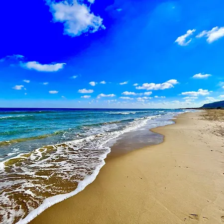 Sol Y Dunas By Gloove Arenales del Sol